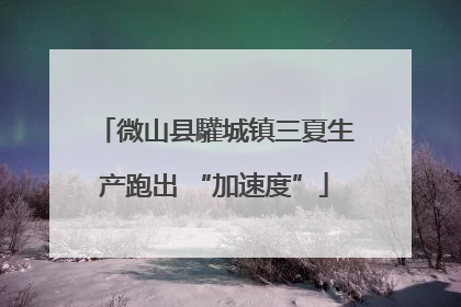 微山县驩城镇三夏生产跑出 “加速度”